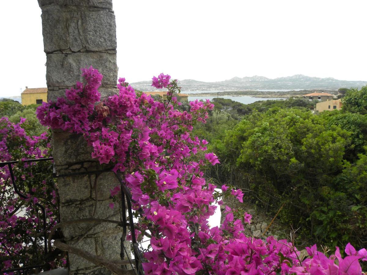 Villa Carlotta La Maddalena La Maddalena (Sassari) Exterior foto